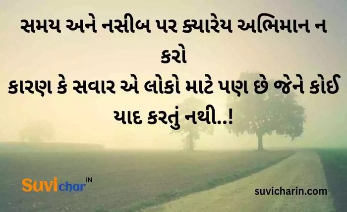gujarati attitude shayari
