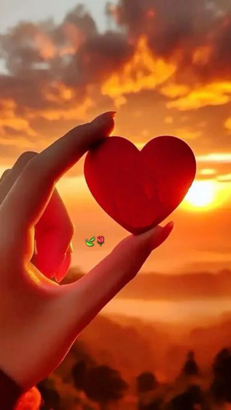 Love Dp (31)