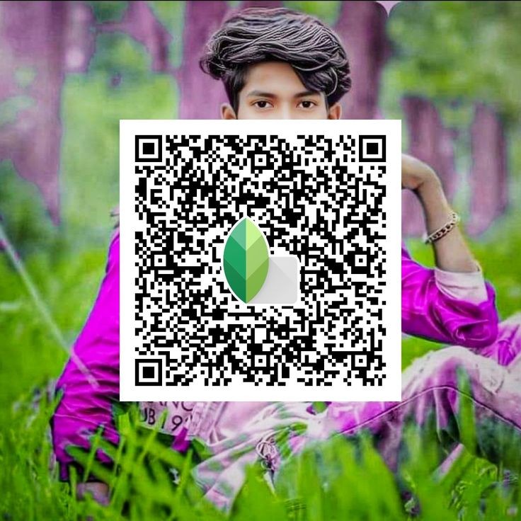 Snapseed QR code15