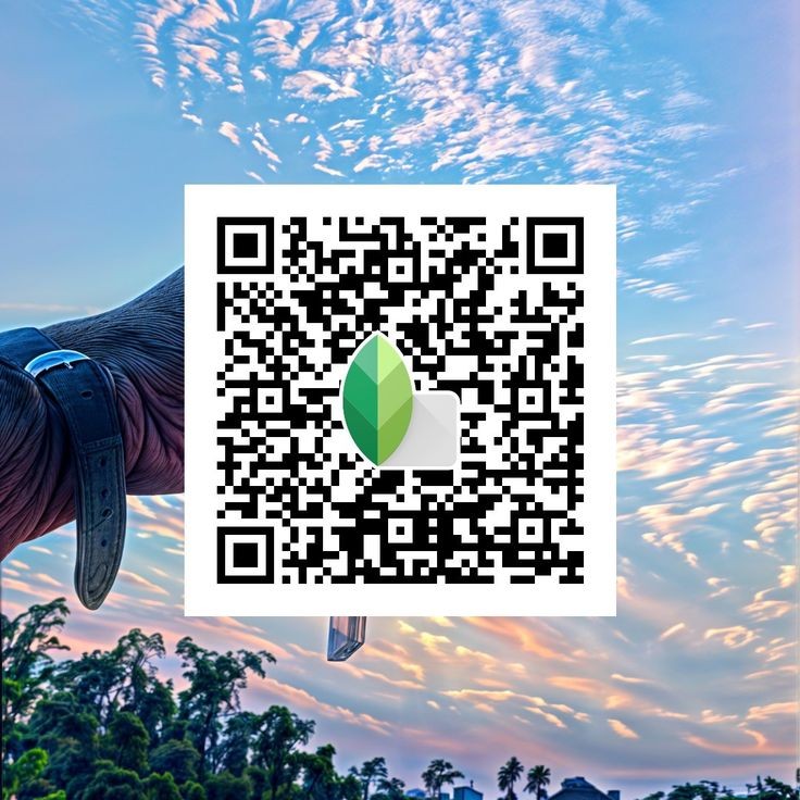 Snapseed QR code16