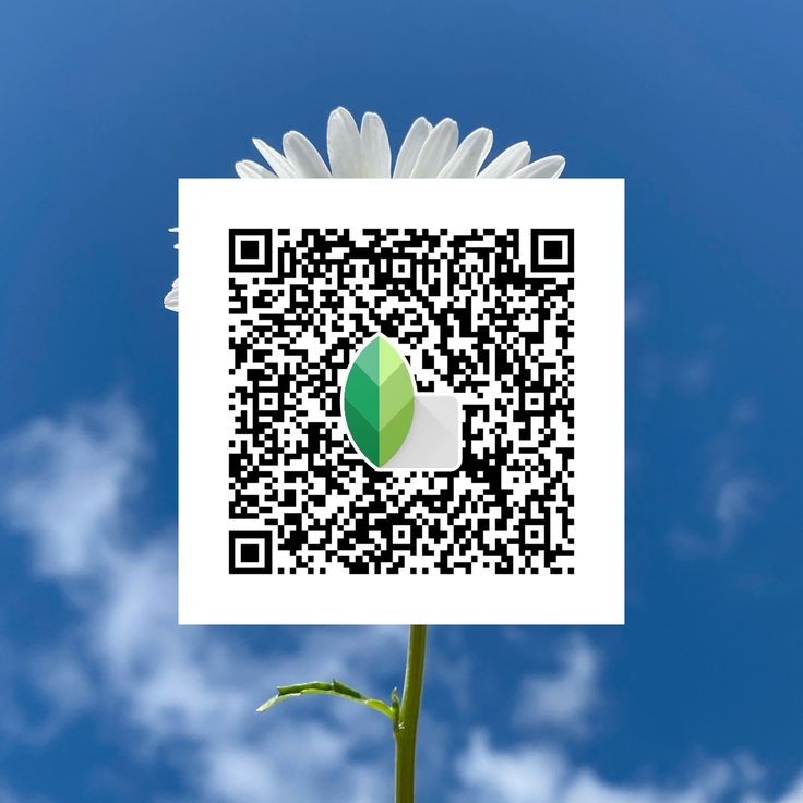 Snapseed QR code17
