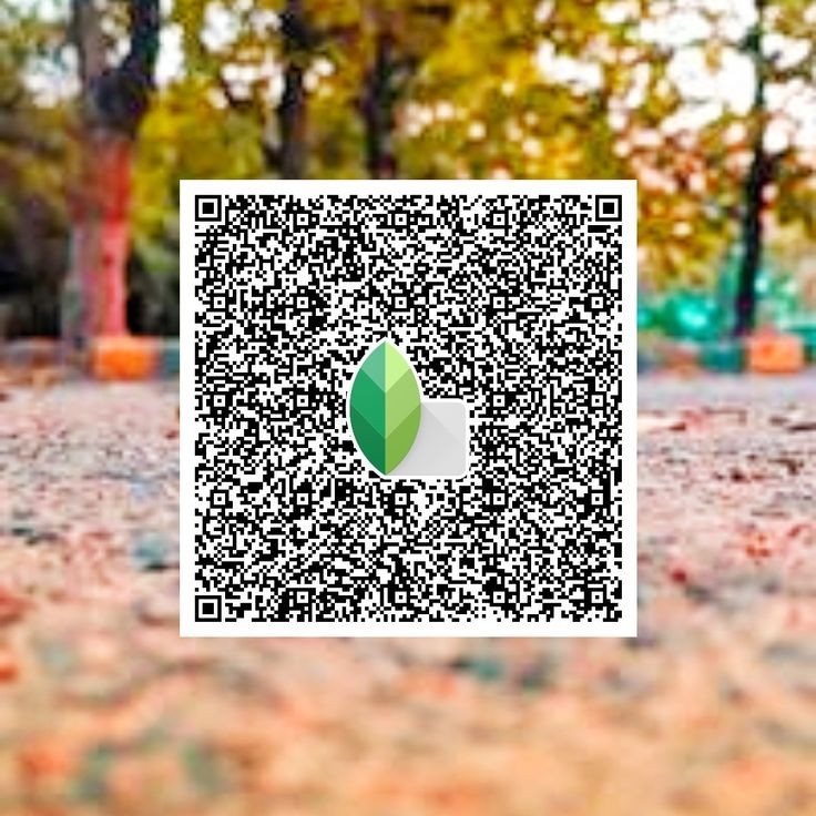 Snapseed QR code20