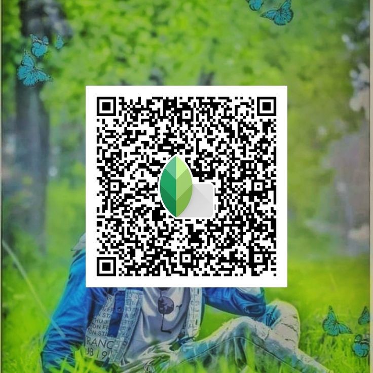 Snapseed QR code28