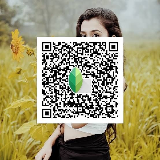 Snapseed QR code34