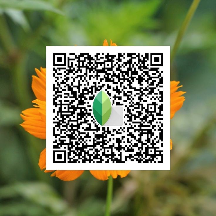 Snapseed QR code5
