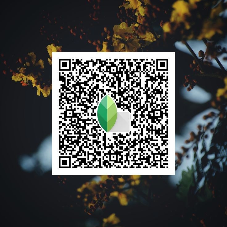 Snapseed QR code7