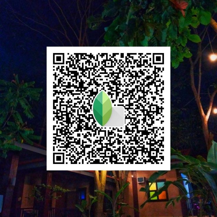 Snapseed QR code9