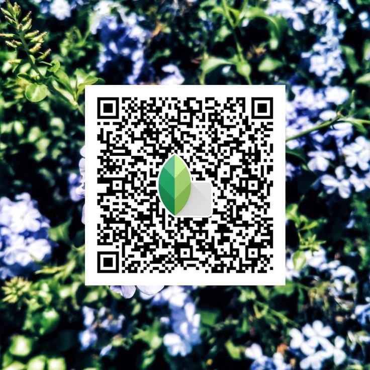 dark edit snapseed qr code