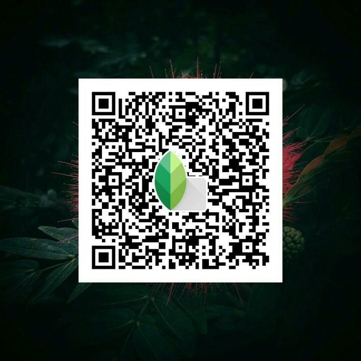 lightroom preset snapseed qr codes blur background