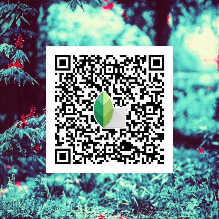 snapseed blur background
