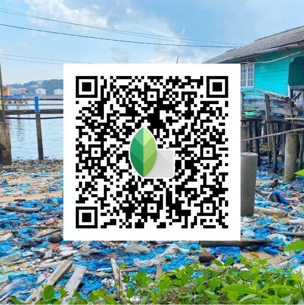 snapseed qr code blue and brown