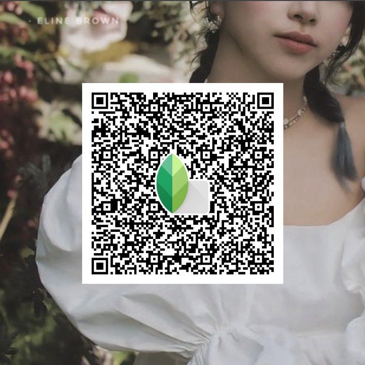 snapseed qr codes dslr presets download